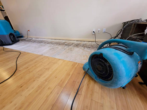 Professional Structural Drying technician working in Marysville, PA